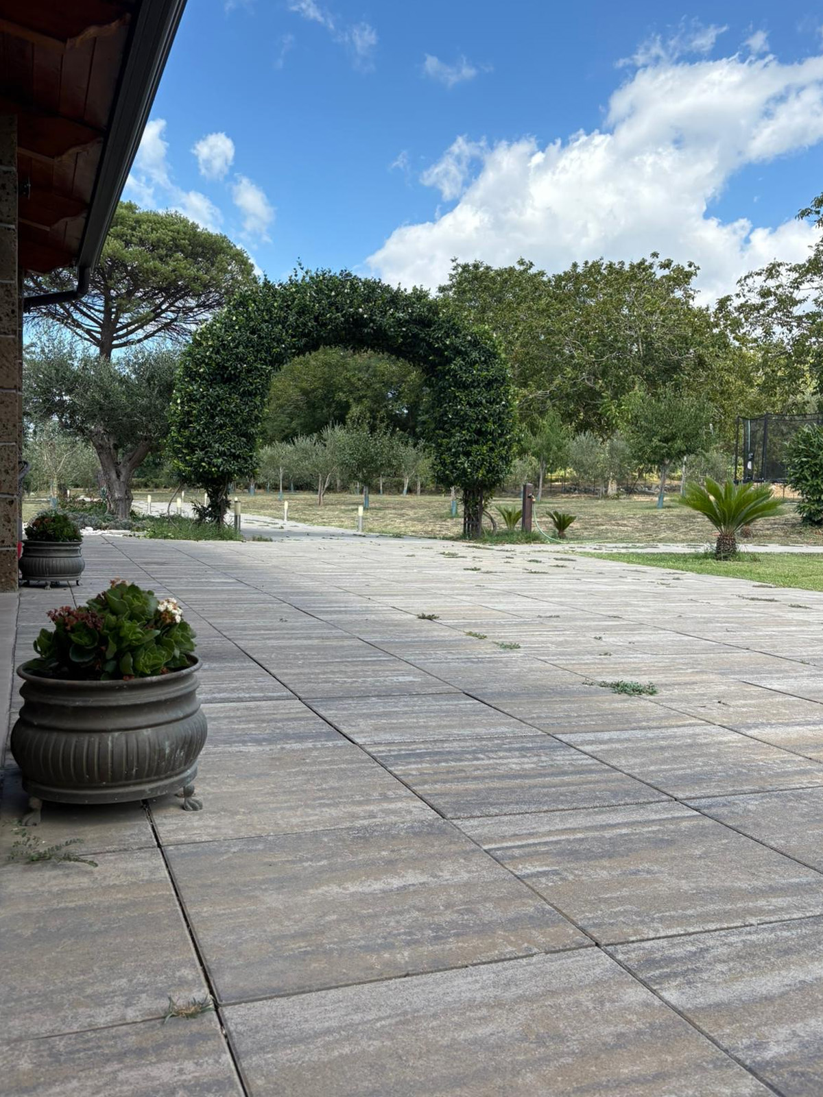 Bambini che giocano nel viale